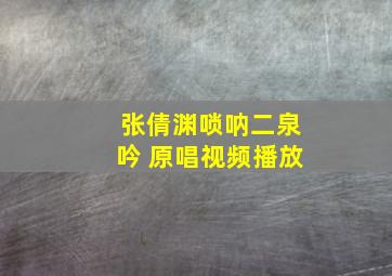 张倩渊唢呐二泉吟 原唱视频播放